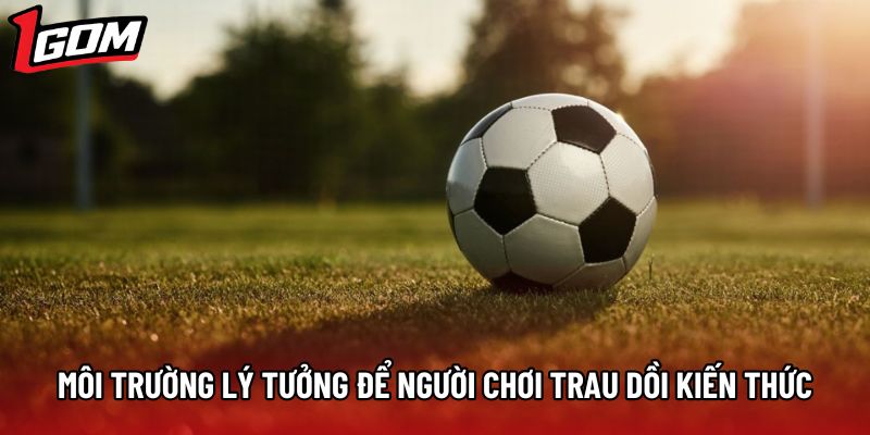 Môi trường lý tưởng để người chơi trau dồi kiến thức