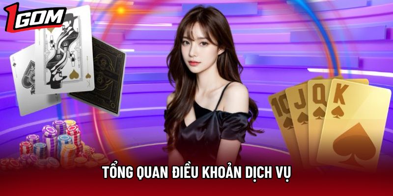 Tổng quan điều khoản dịch vụ